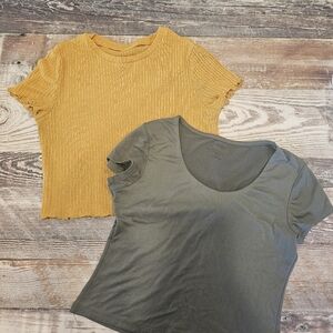 Two fall colored crop tops size Jr's medium